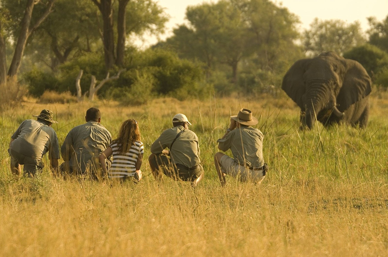 Read more about the article 10 Unforgettable Adventures To Have In Botswana 
