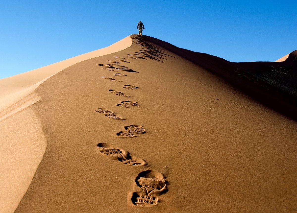 Read more about the article 10 Reasons Why Namibia Should Be Your Next Adventure Destination
