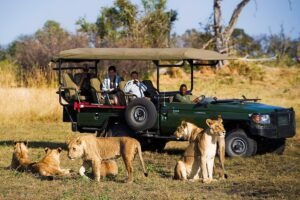 Read more about the article Discover The Best Safari Experiences In Botswana