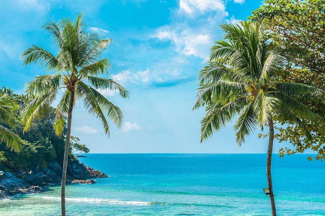 Read more about the article A Guide To Exploring Thailand’s Stunning Beaches And Island Getaways