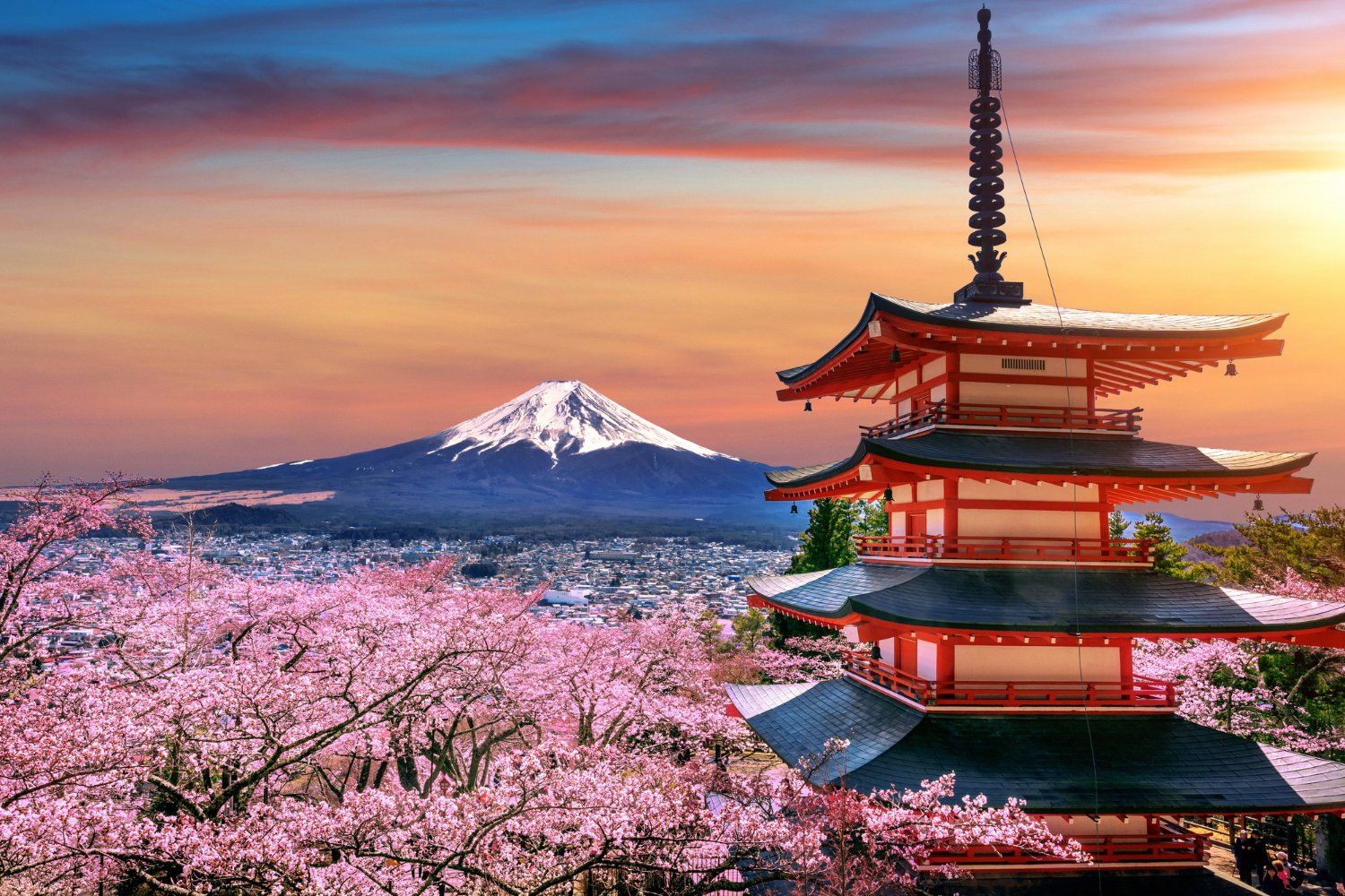 Read more about the article Top 10 Unmissable Experiences In Japan For First-Time Visitors