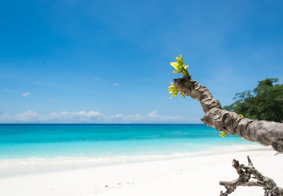Read more about the article 10 Must-See Sights In The Bahamas For Your Next Island Getaway