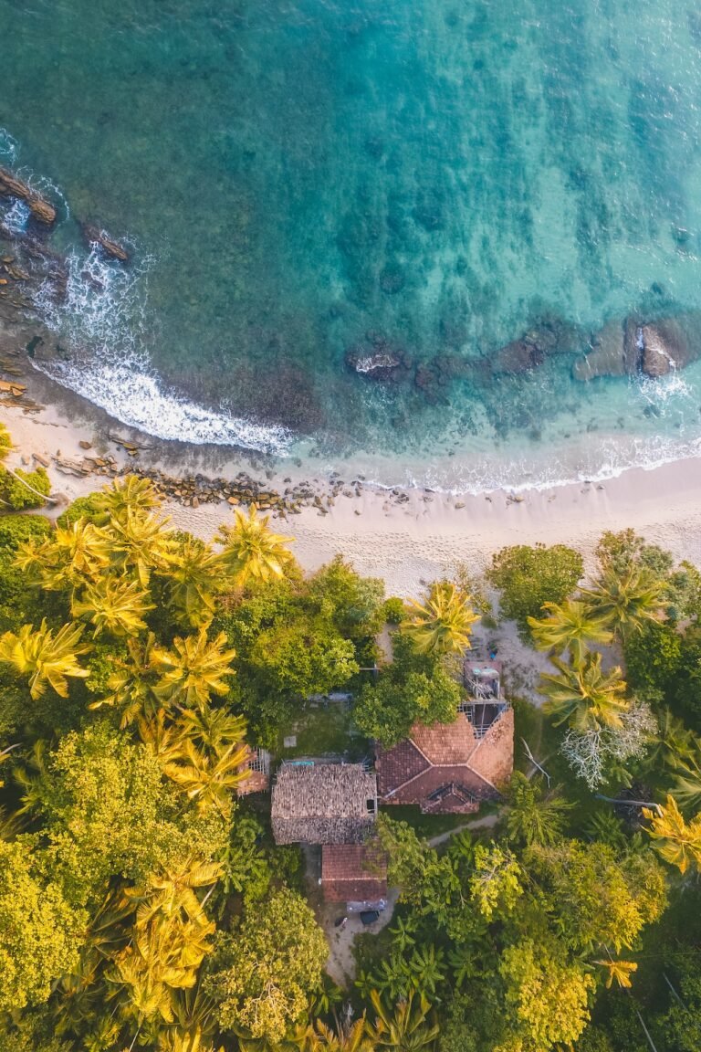 pexels-oliver-sjöström-1078983