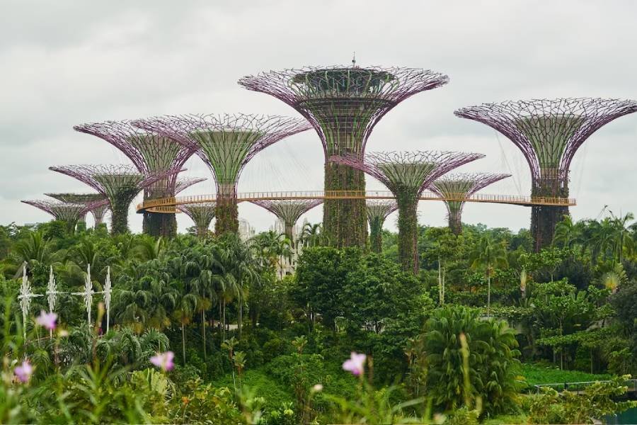 Read more about the article Top 10 Must-See Attractions in Singapore