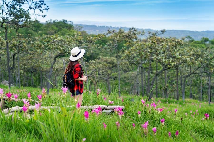 Read more about the article Discover The Beauty of Vietnam: A Comprehensive Travel Guide