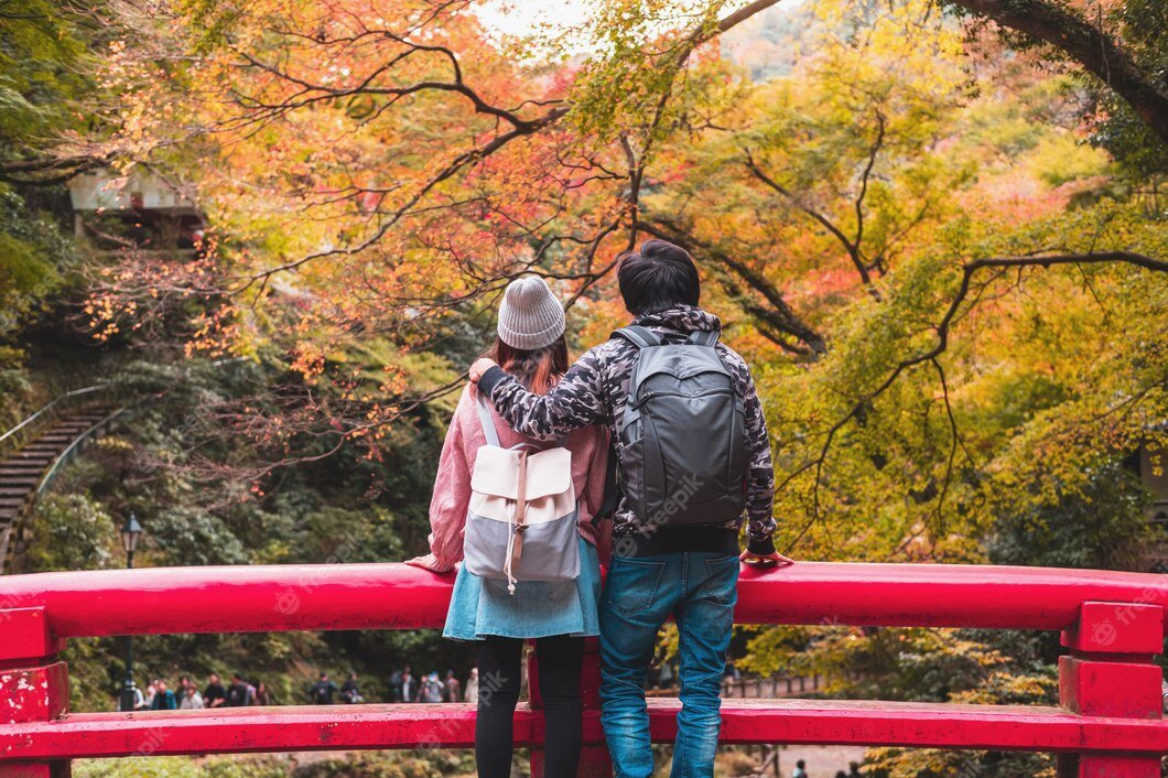 Read more about the article Experience the Best of South Korea: A Guide to Its Most Popular Destinations